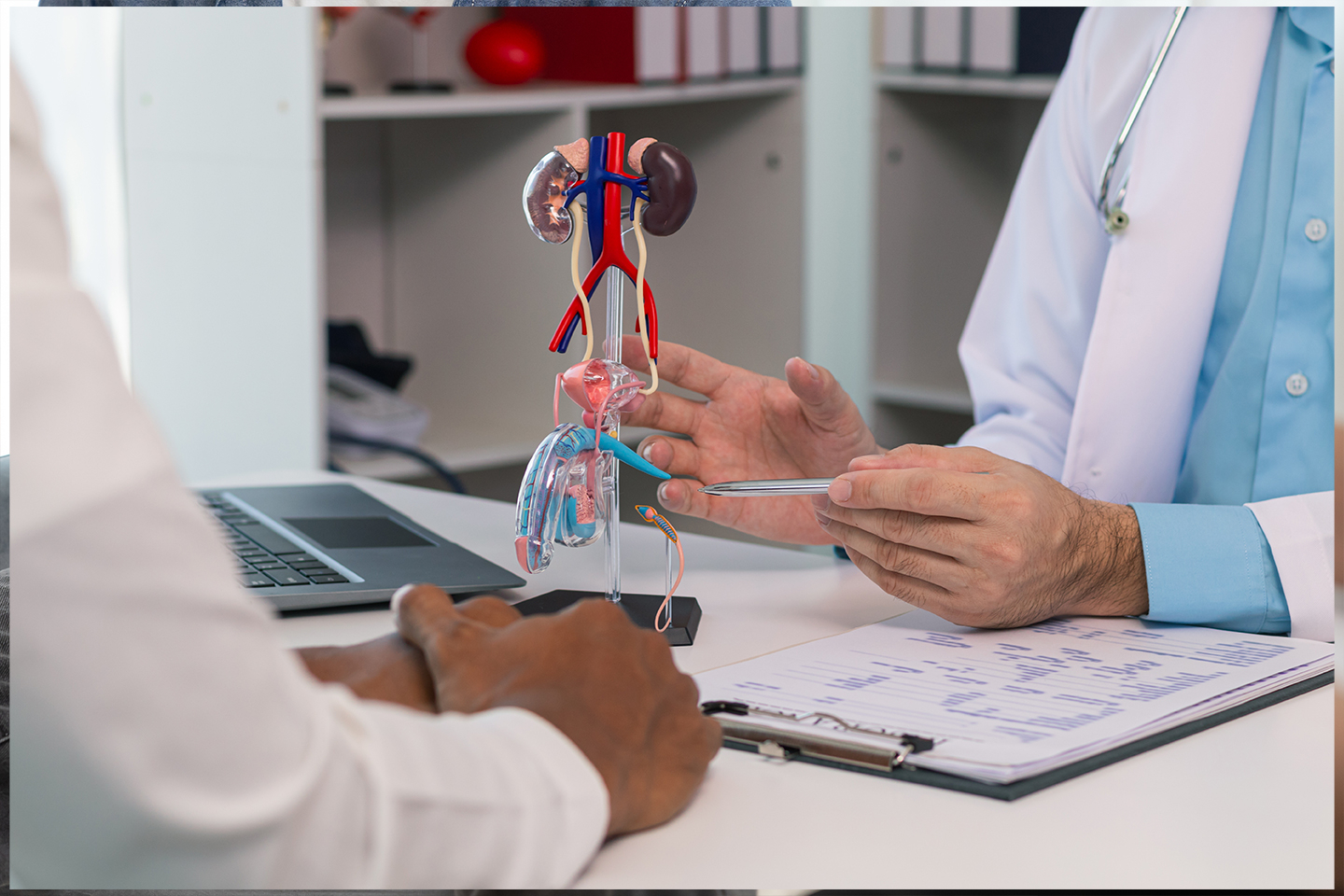 Doctor using a prostate and pelvic anatomy model to explain erectile dysfunction after surgery.