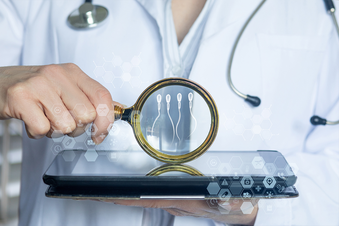 Doctor using a magnifying glass to analyse sperm icons on a digital tablet