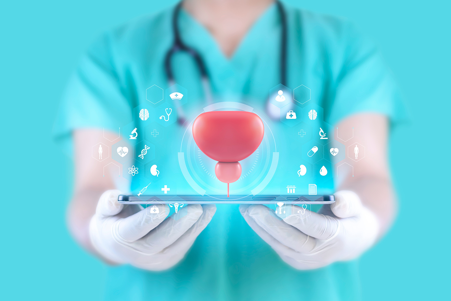 Doctor holds a tablet displaying a digital illustration of the prostate